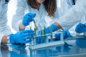Medical Engineers observing test tubes with slim green plants representing growth.